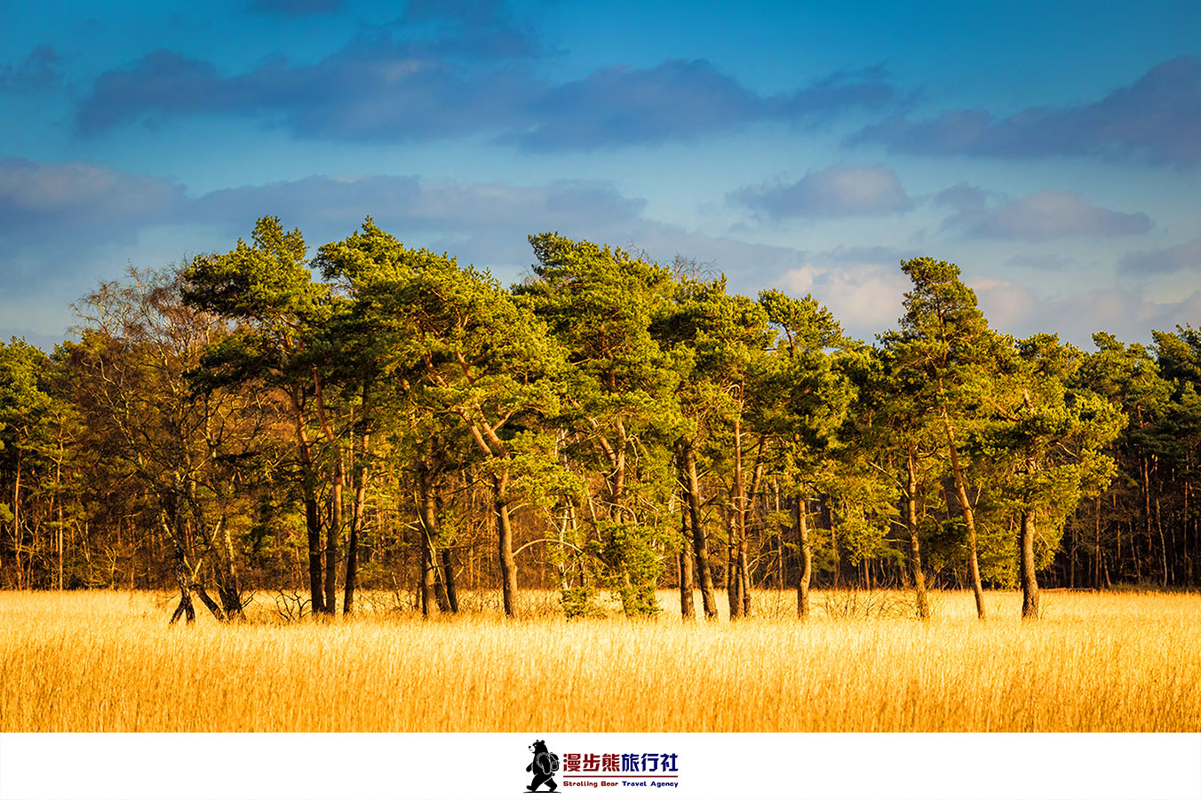 收藏这份漫游清单!国